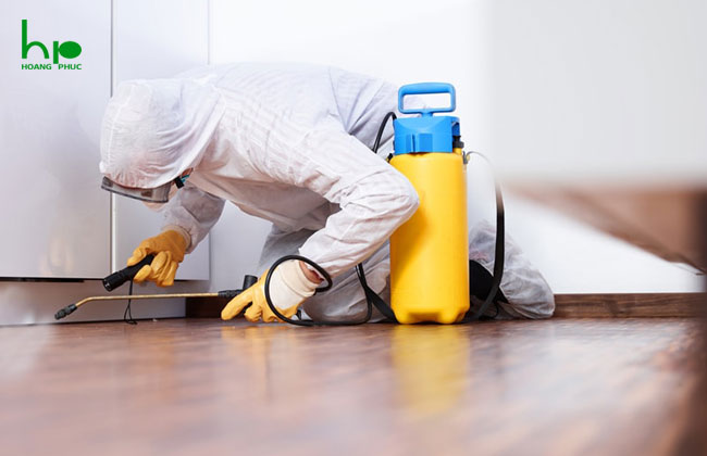 Diệt mối tận gốc uy tín chuyên nghiệp