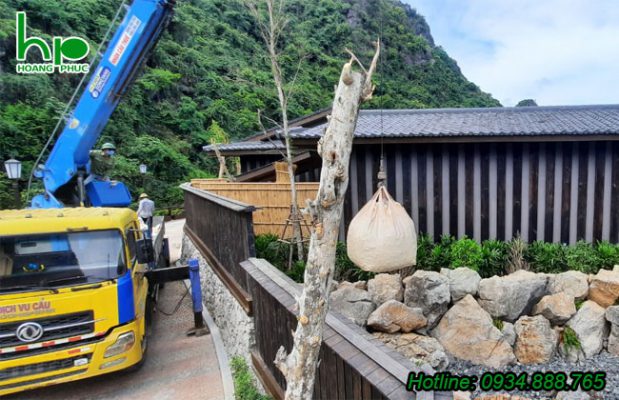 Dịch vụ thi công cảnh quan Đà Nẵng